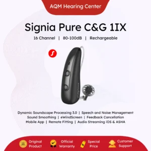 Signia Pure Charge&Go 1IX