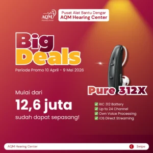 Signia Pure 312 3X